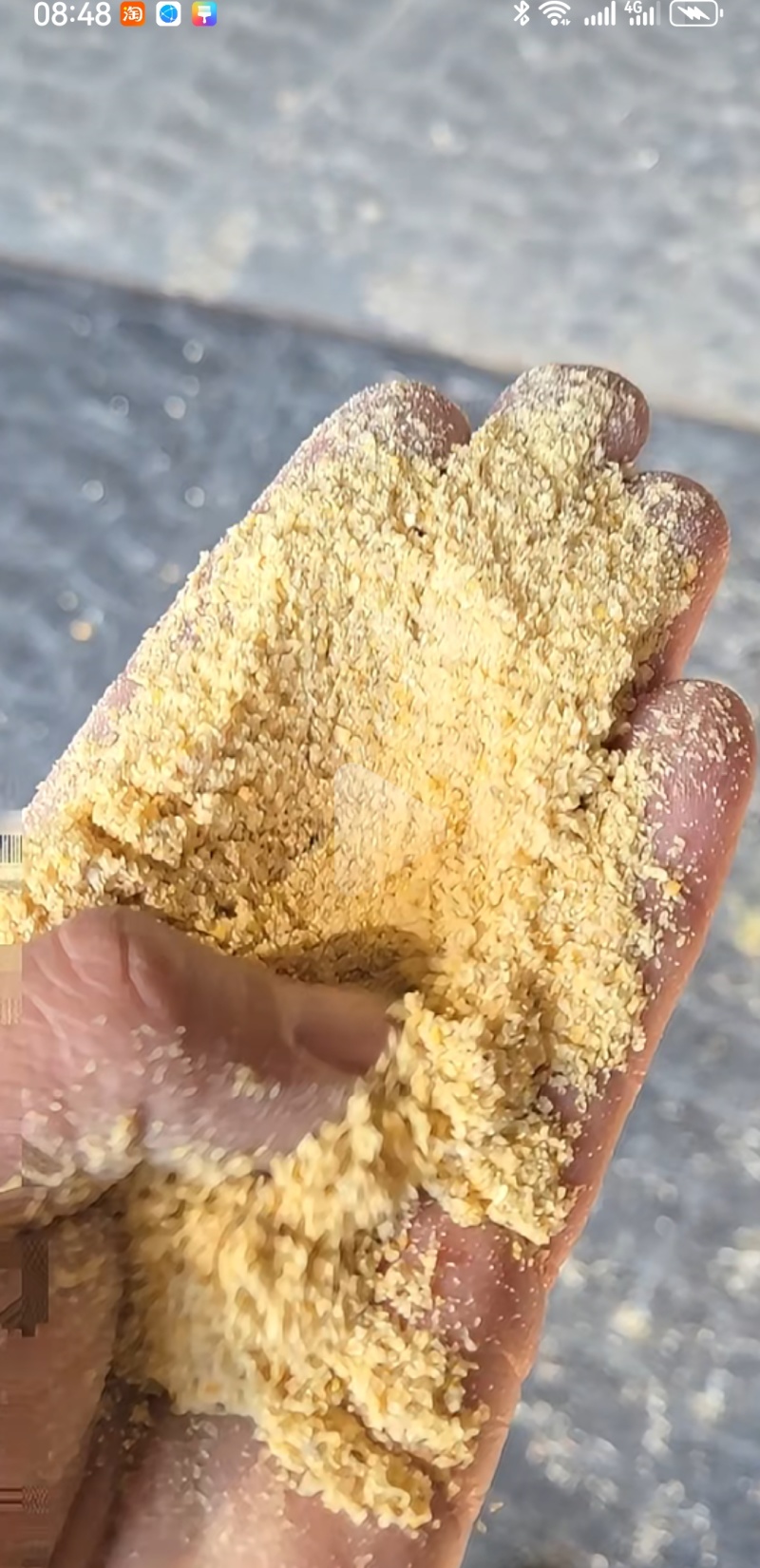 养殖玉米面，鸡鸭鹅牛羊猪适口性好营养高含胚芽代替玉米
