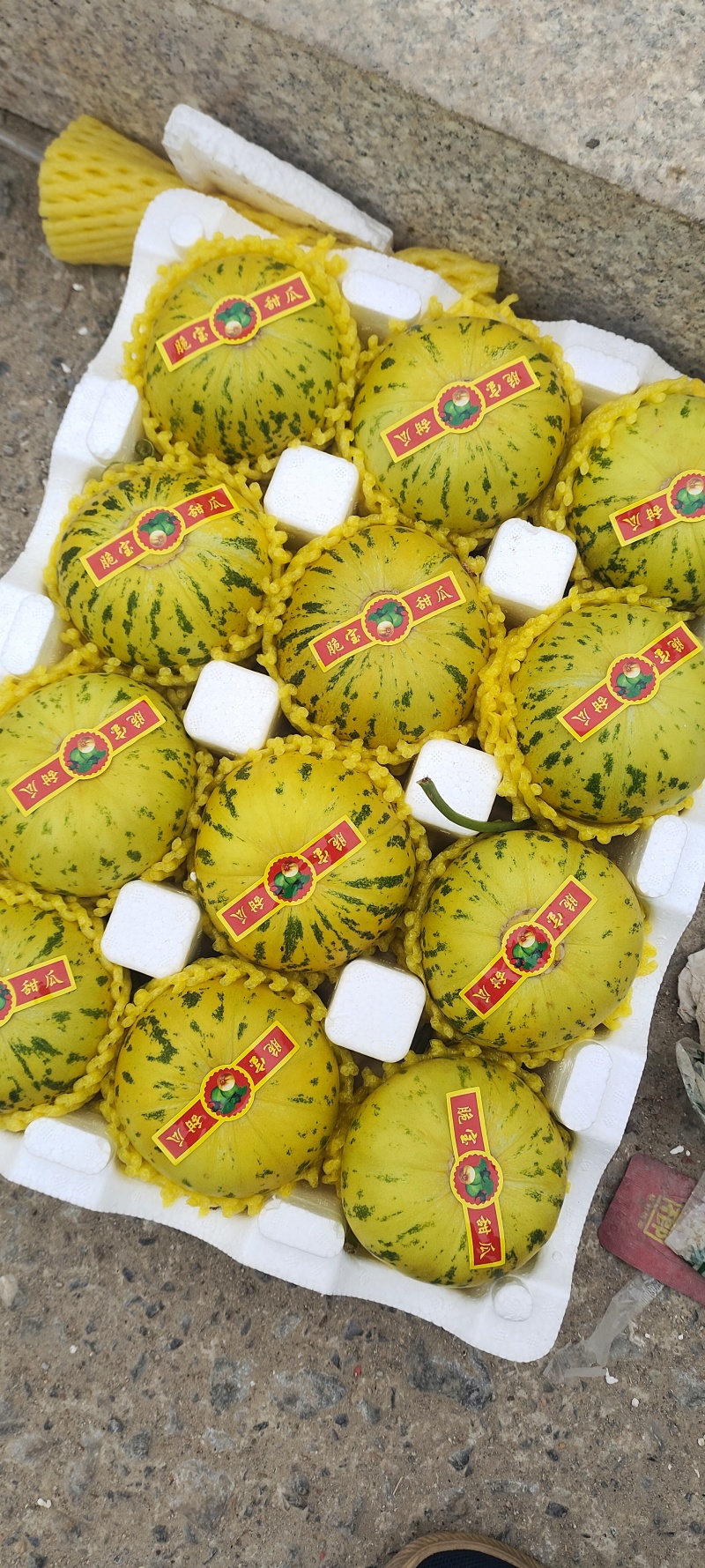 花蕾花美人系列甜瓜商超电商市场批发，赶集零售大量有货