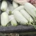 羊角蜜甜瓜/万亩博洋61种植区品质好/规格全欢迎采购