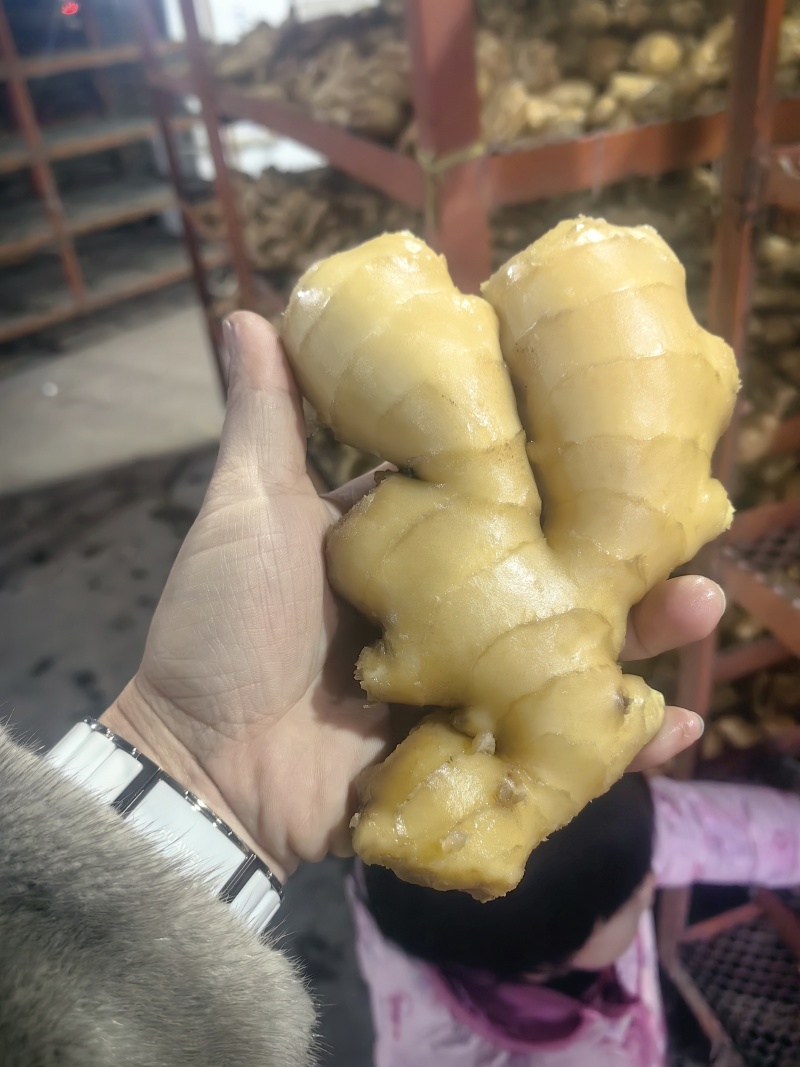 大姜