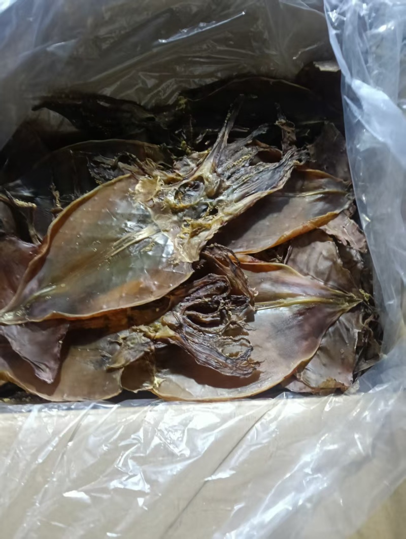 特干鱿鱼，鱿鱼干，本地鱿鱼鱿鱼淡干鱿鱼干