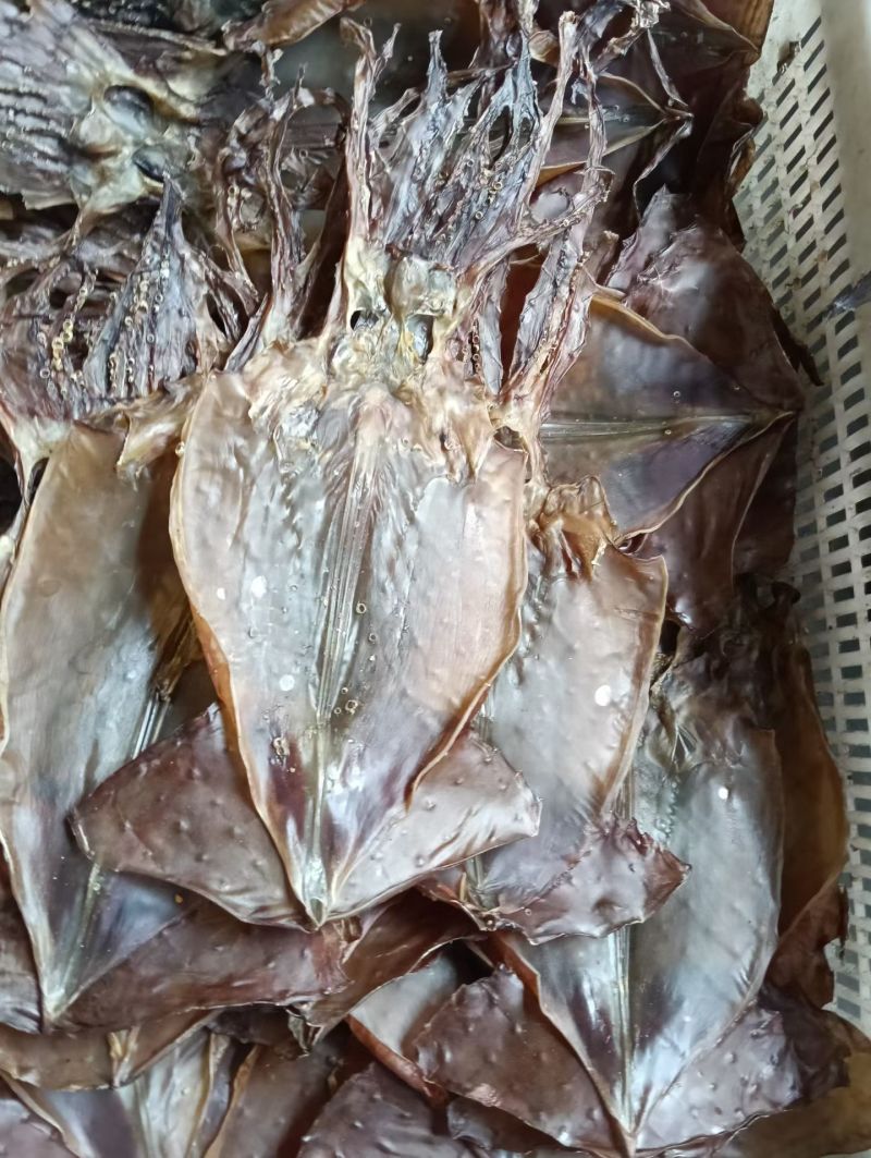 特干鱿鱼，鱿鱼干，本地鱿鱼鱿鱼淡干鱿鱼干
