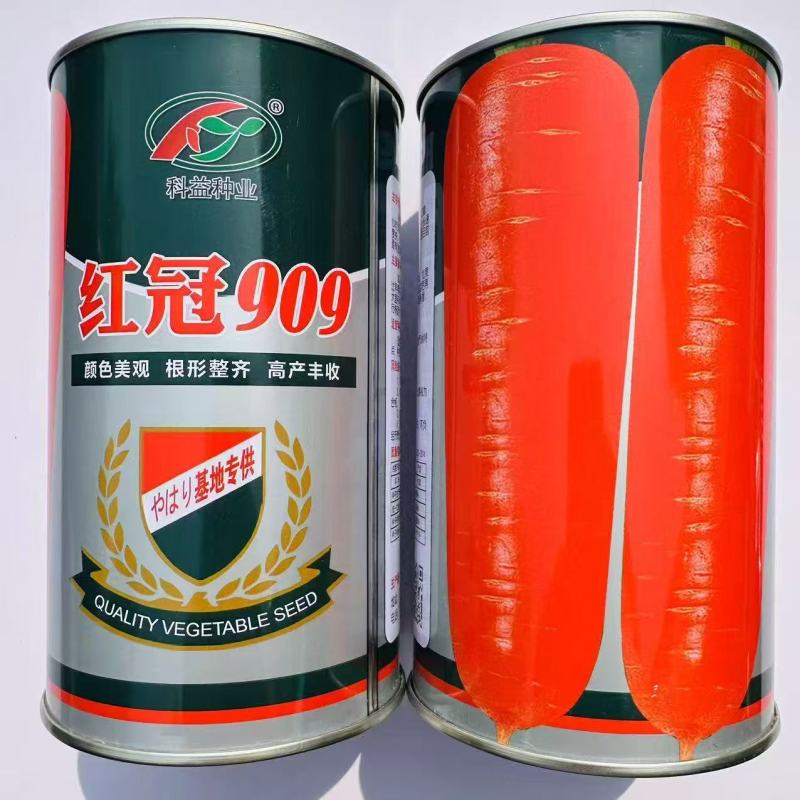 科益红冠909三红胡萝卜种子中早熟长锥型基地推荐胡萝卜种