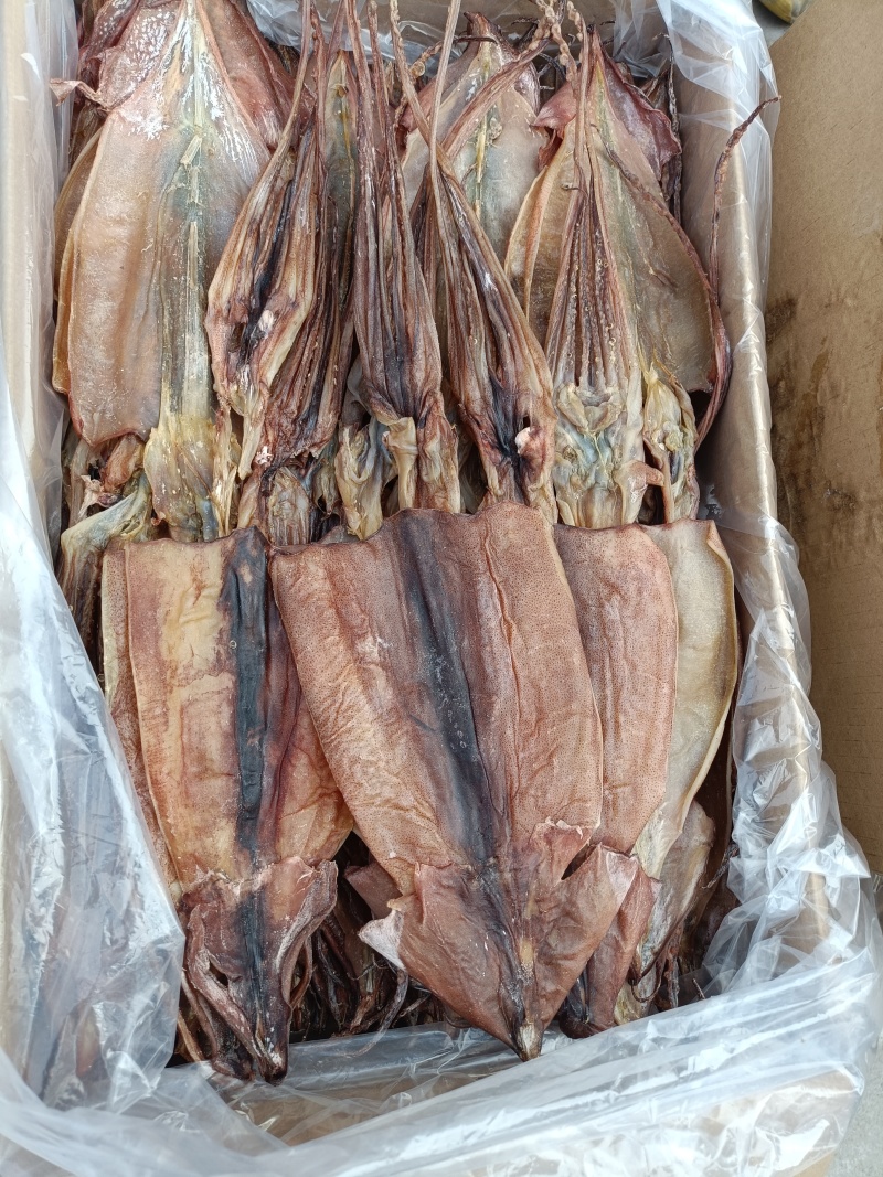 特干鱿鱼，鱿鱼干，本地鱿鱼鱿鱼淡干鱿鱼干
