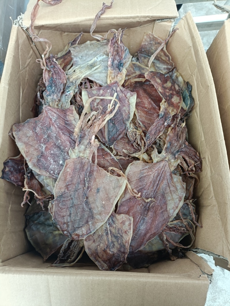 特干鱿鱼，鱿鱼干，本地鱿鱼鱿鱼淡干鱿鱼干