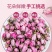 干桃花花苞花瓣花朵散装花茶滋补中药材桃花批发零售