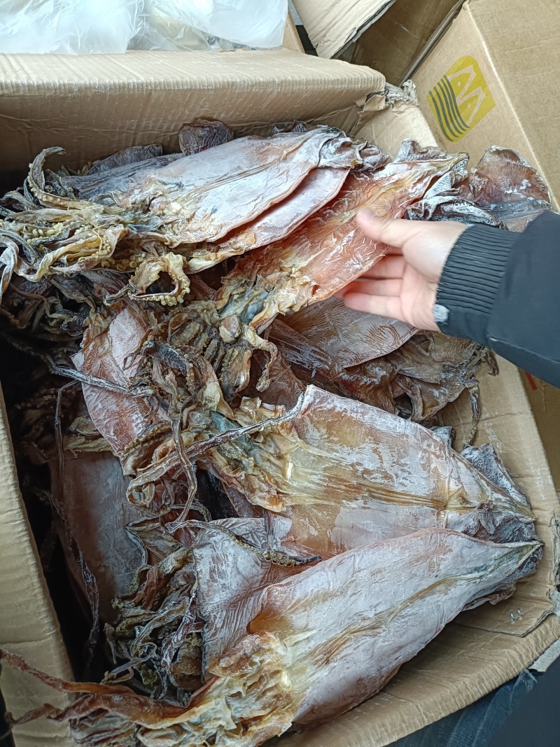 特干鱿鱼，鱿鱼干，本地鱿鱼鱿鱼淡干鱿鱼干