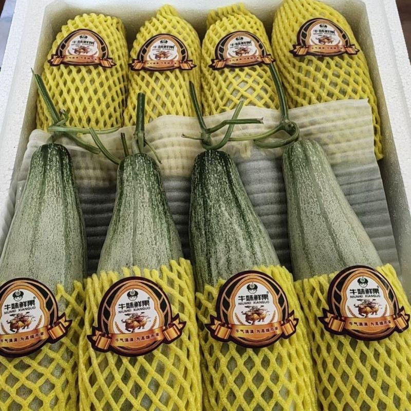寿光羊角蜜甜瓜产地，精品羊角蜜甜甜甜，整车出货，甜甜甜。