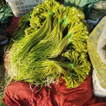 水性杨花