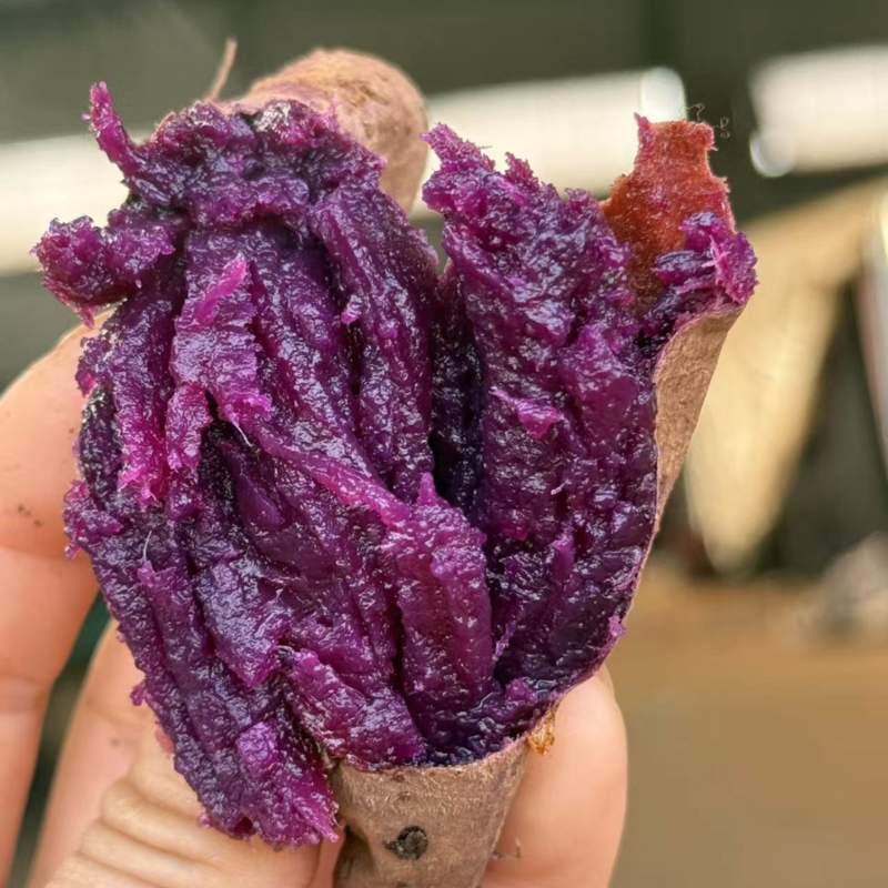 水晶紫蜜薯