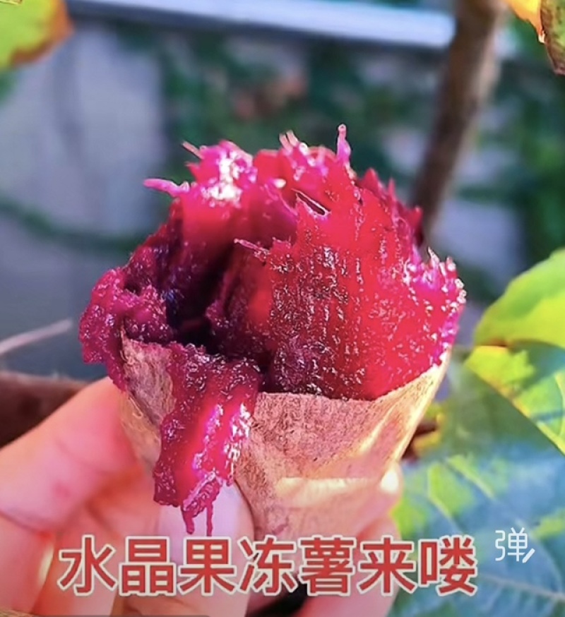 水晶紫蜜薯