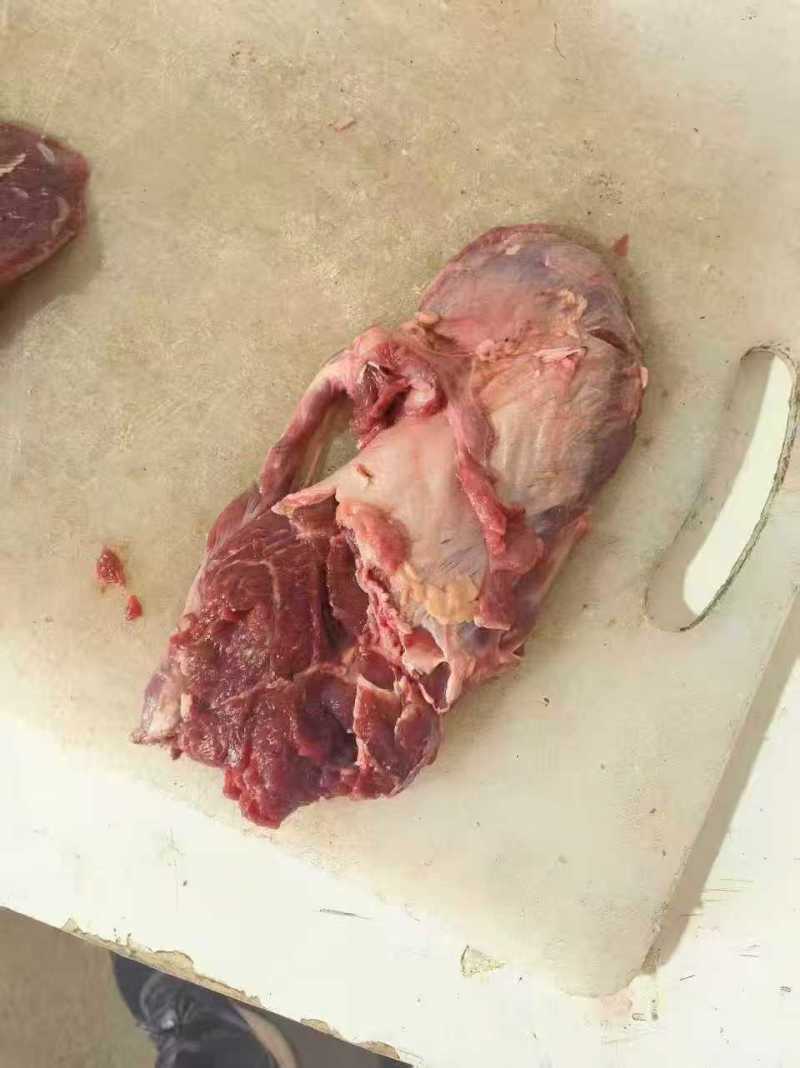 牛脸肉，公牛分割的，有大脸肉小脸肉。都有现货