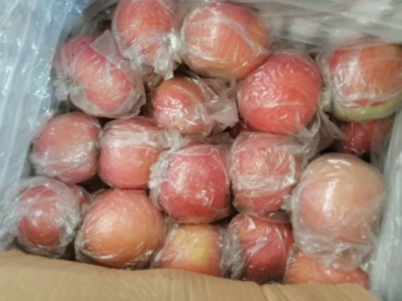 纸加膜小果