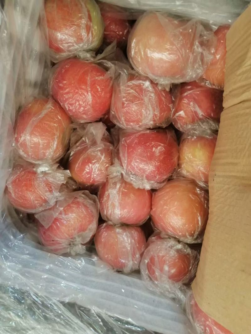 纸加膜小果