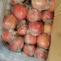 纸加膜小果