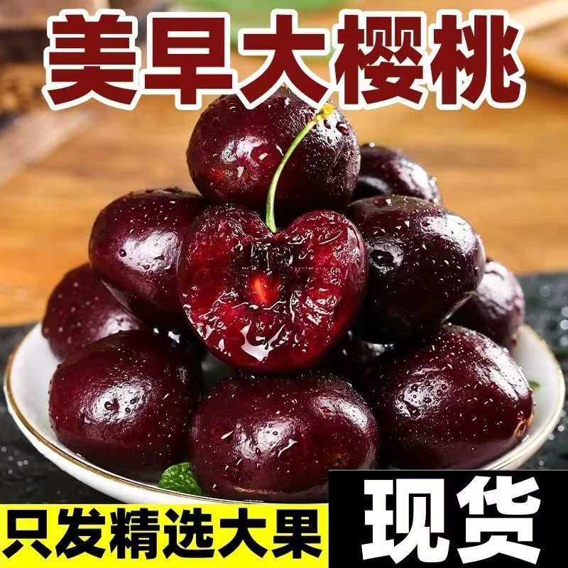 山东美早大樱桃支持一件代发对接全国市场，先锋美早规格