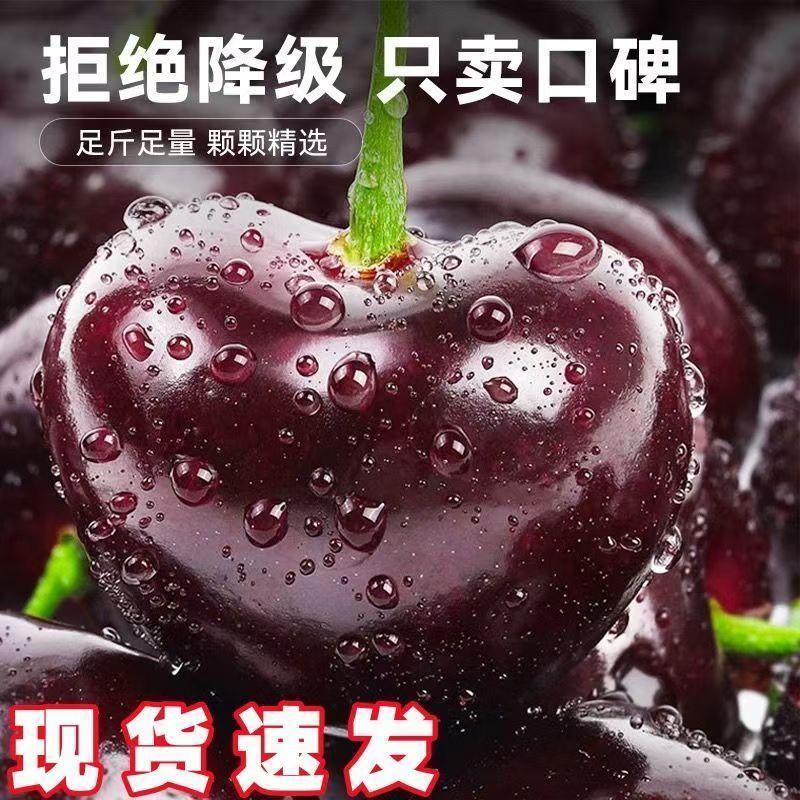 山东美早大樱桃支持一件代发对接全国市场，先锋美早规格
