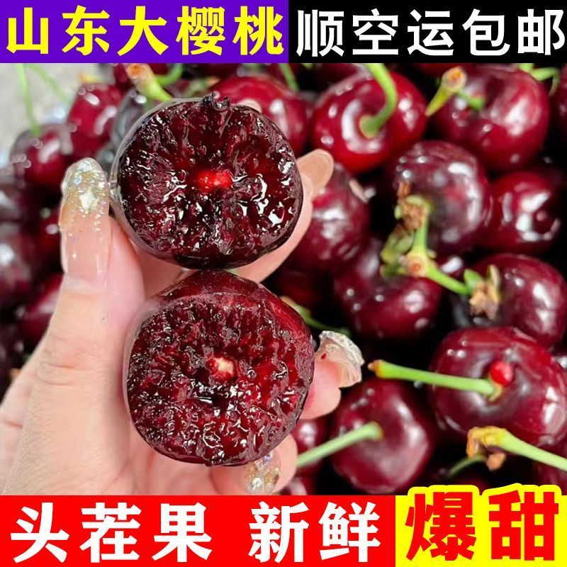 山东美早大樱桃支持一件代发对接全国市场，先锋美早规格
