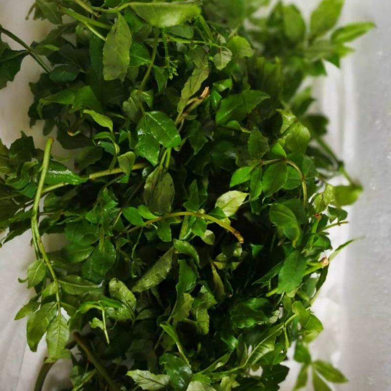 鲜花椒芽无加水。