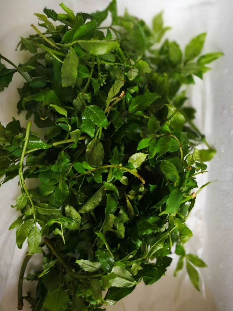 鲜花椒芽无加水。