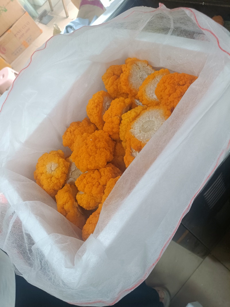 供应金耳