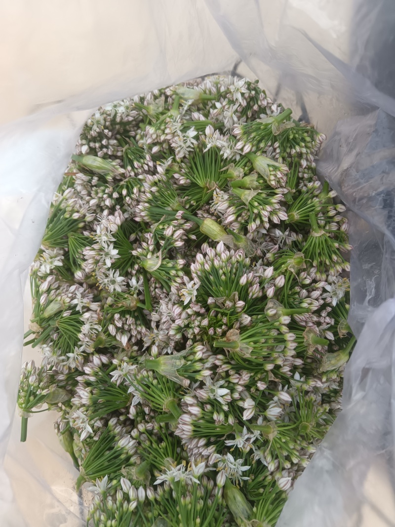 韭菜花
