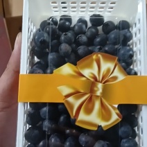 蓝莓