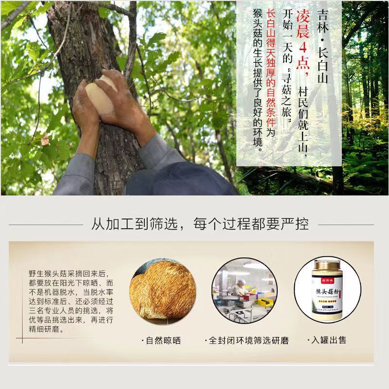 猴头菇粉养胃护胃纯粉破壁超细粉无糖野生有机猴头菌