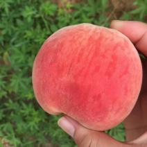 水蜜桃脆甜多汁龙泉驿