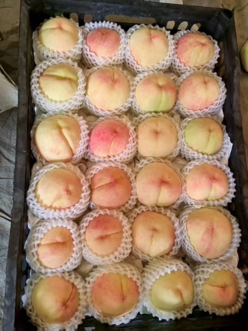 水蜜桃脆甜多汁龙泉驿