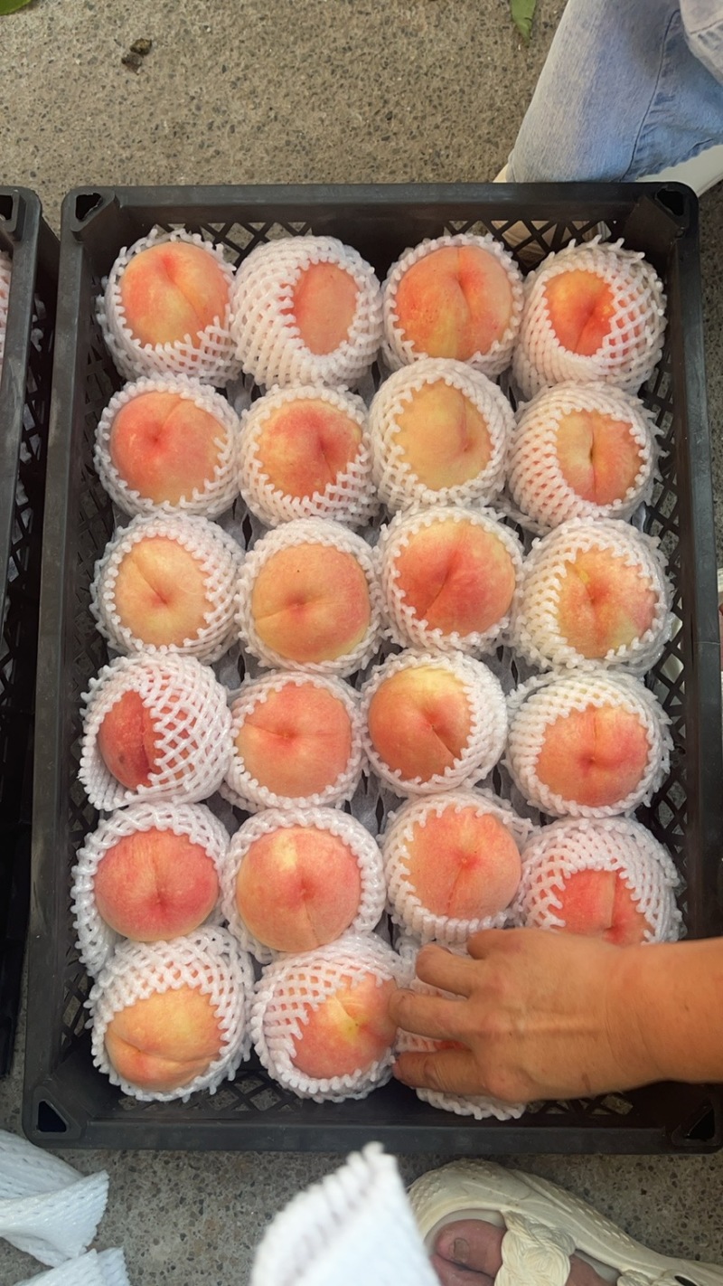 水蜜桃脆甜多汁龙泉驿