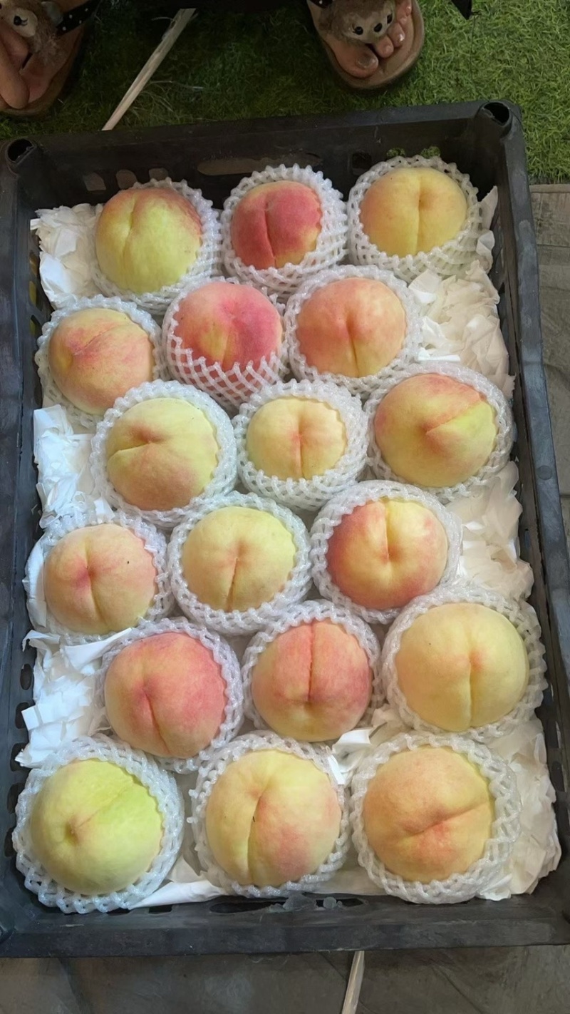 水蜜桃脆甜多汁龙泉驿