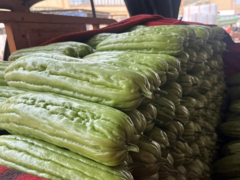 油苦瓜，油绿苦瓜，产地直发，一手货源