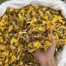 菊花茶陈皮菊花苦荞茶跑江湖地摊花茶菊花决明子茶各种花茶有