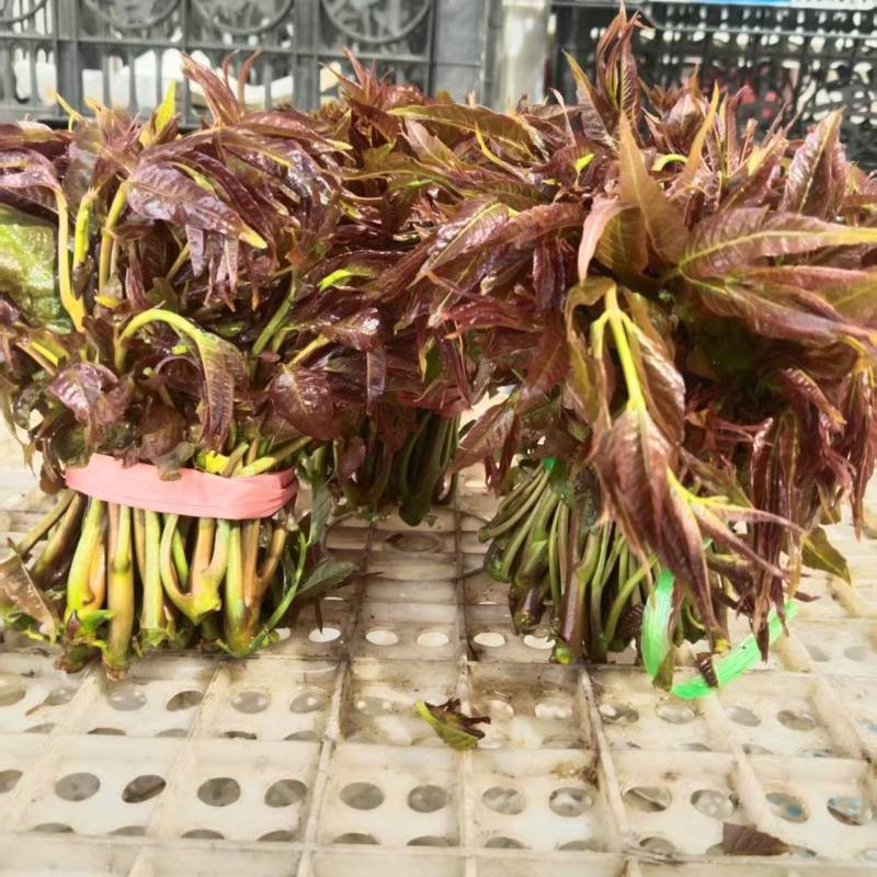 精品二茬，嘎嘎嫩。