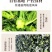 余姚榨菜芯