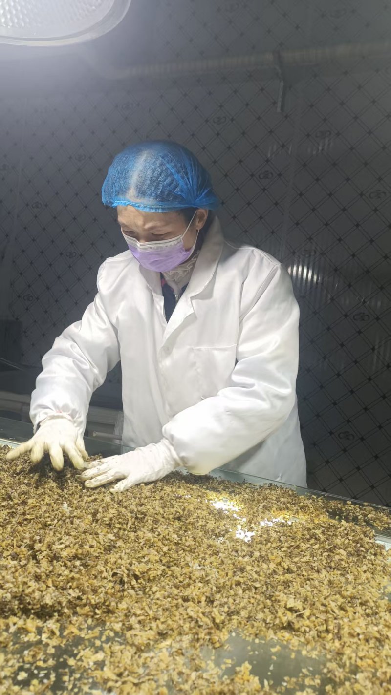 雪菜切碎雪里红酸菜净菜泡菜厂批量直供