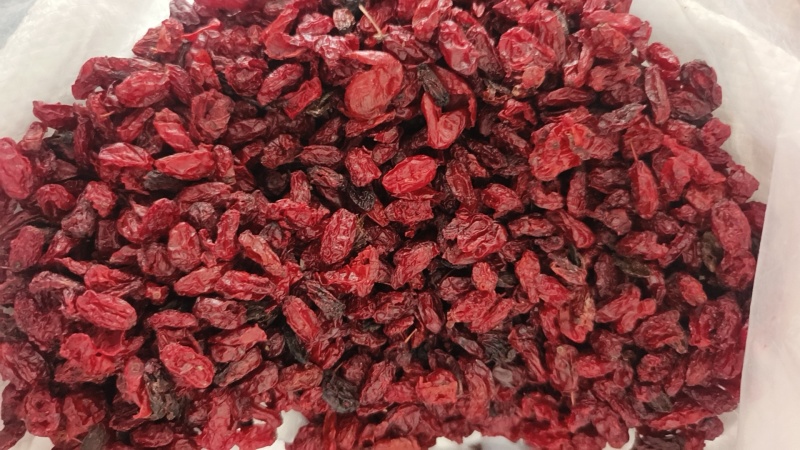 伏牛山特产山茱萸
