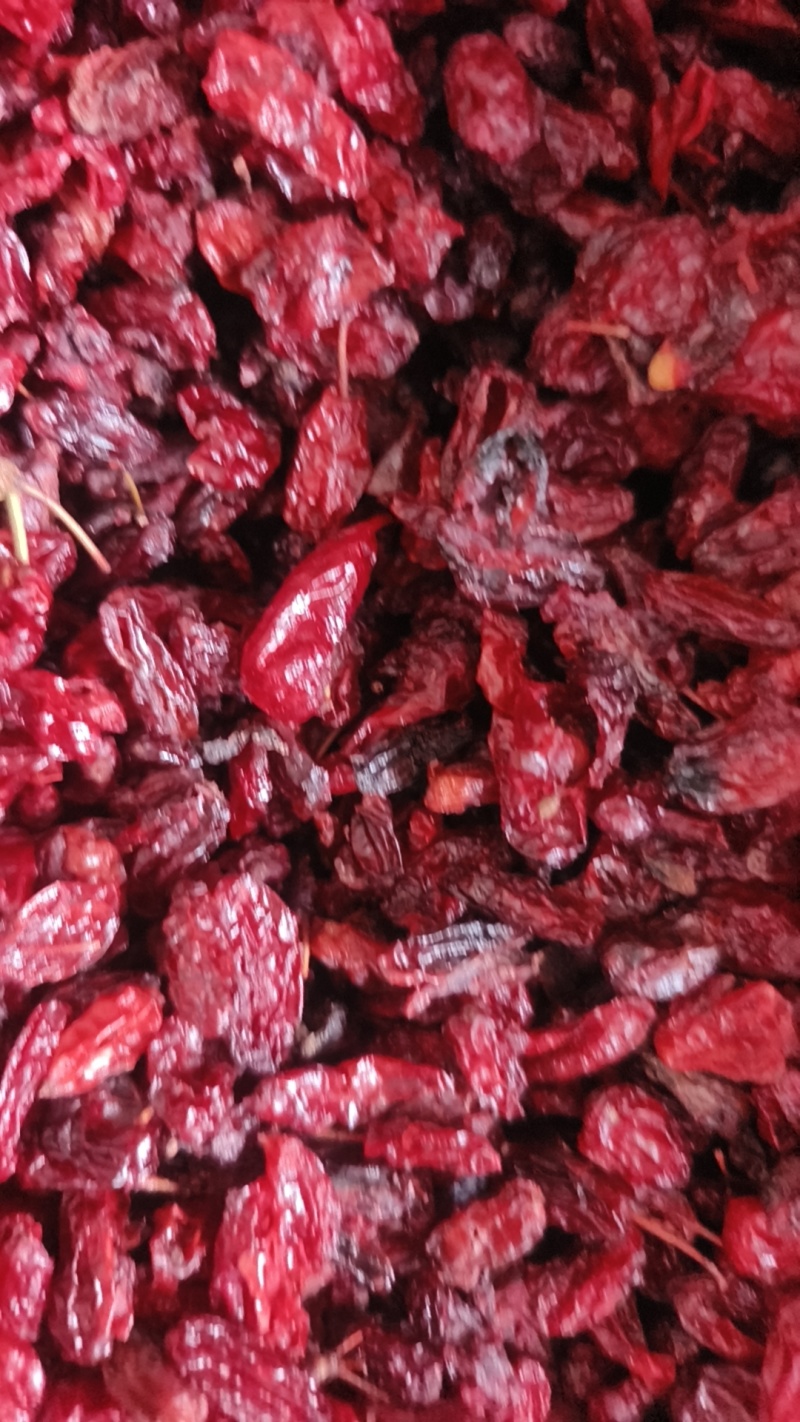 伏牛山特产山茱萸