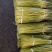 东明蒜薹