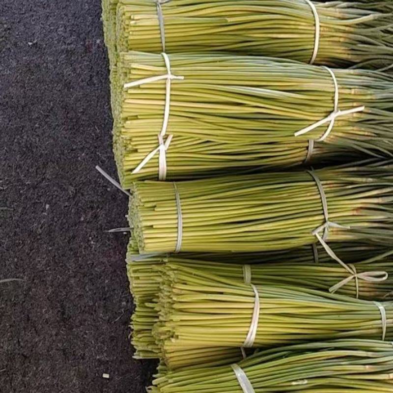 东明蒜薹