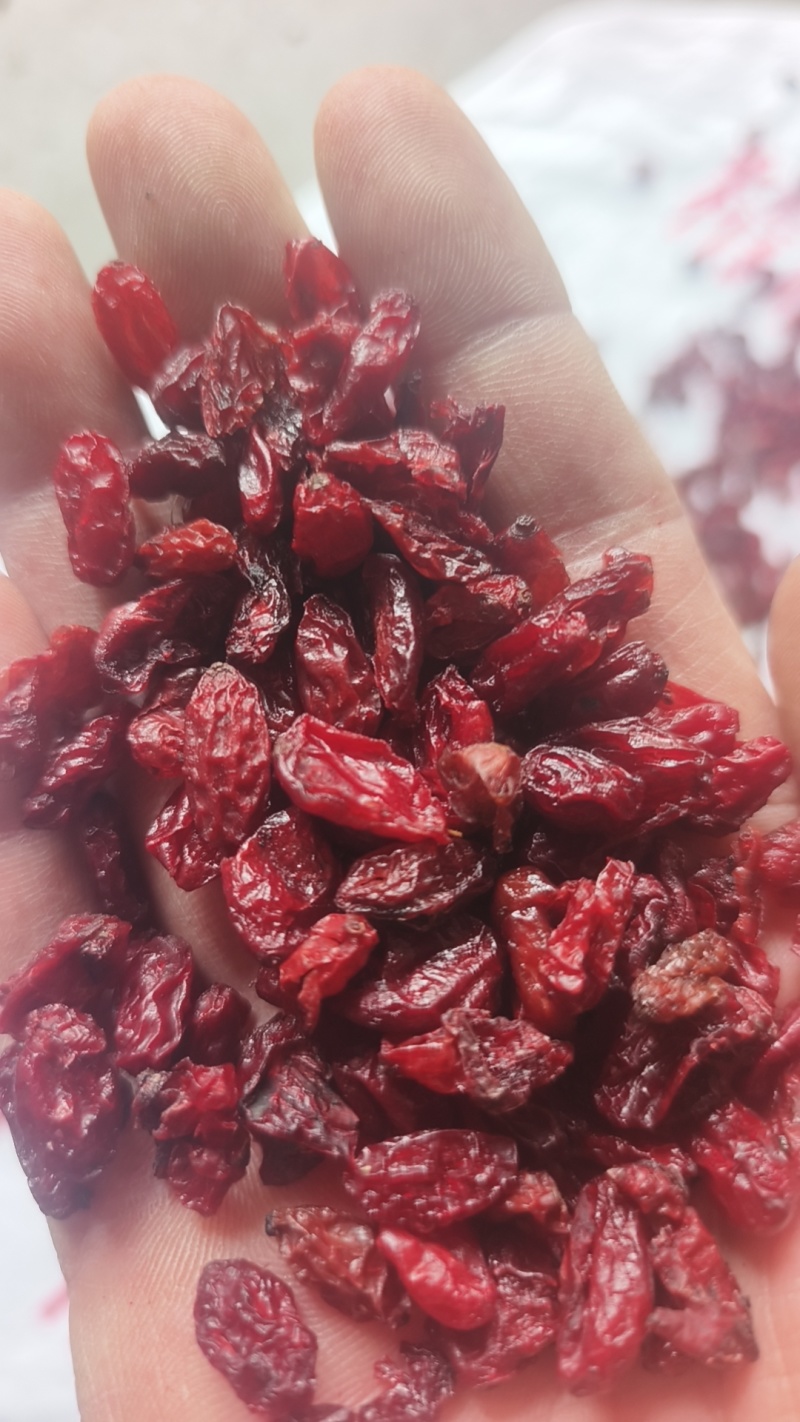 伏牛山特产批发山茱萸