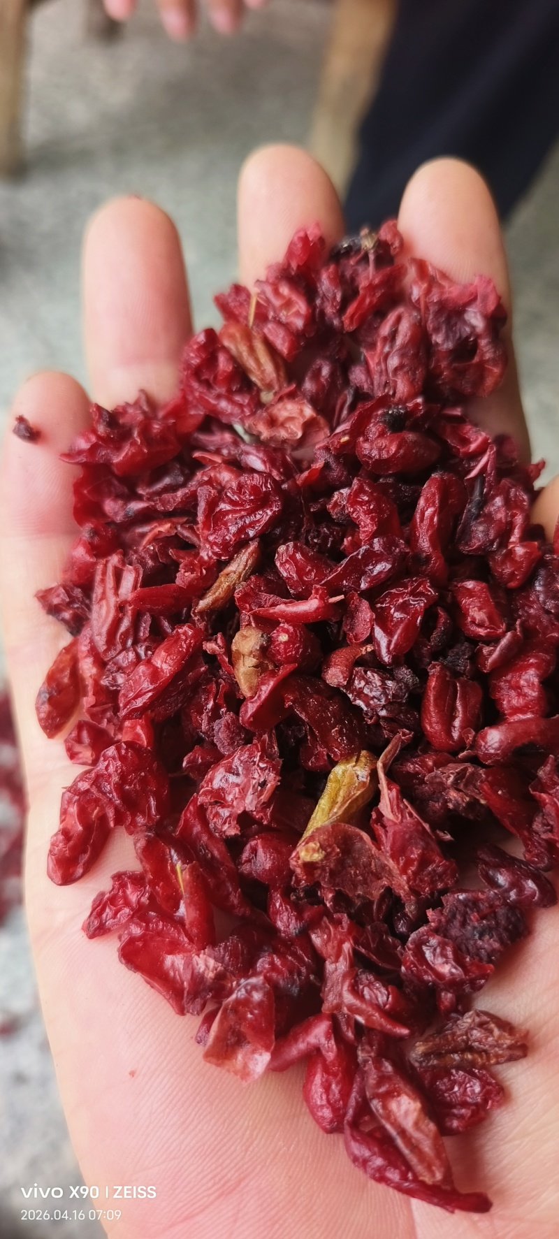 伏牛山特产批发山茱萸