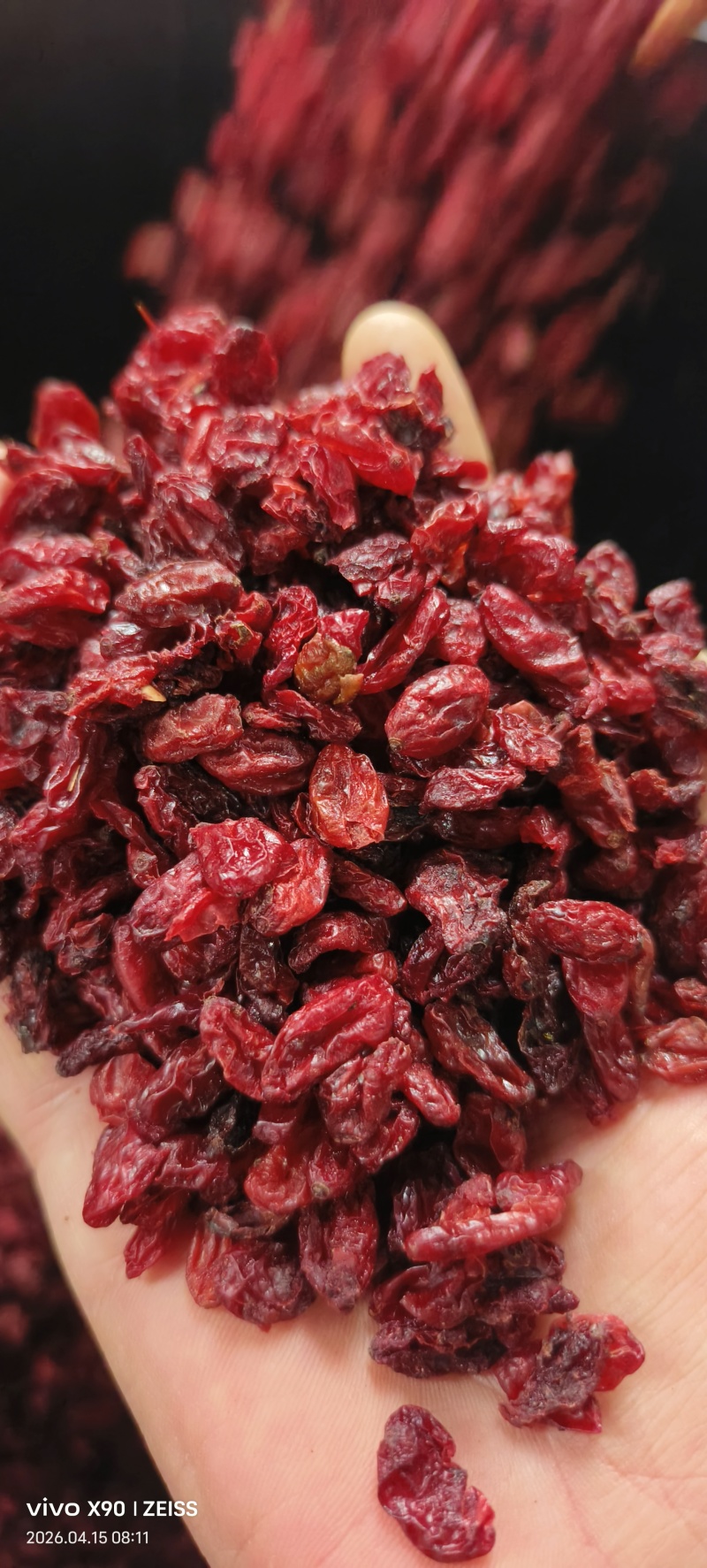 伏牛山特产批发山茱萸