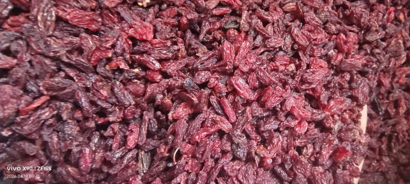 伏牛山特产批发山茱萸