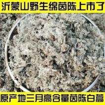 野生茵陈一等品正品晒干茵陈新鲜祛湿干货农户采摘茵陈