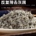 野生茵陈一等品正品晒干茵陈新鲜祛湿干货农户采摘茵陈