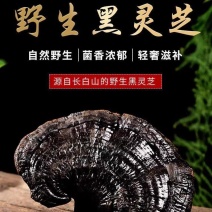 长白山正宗黑灵芝整枝黑芝干货煲养**秋产数量有限