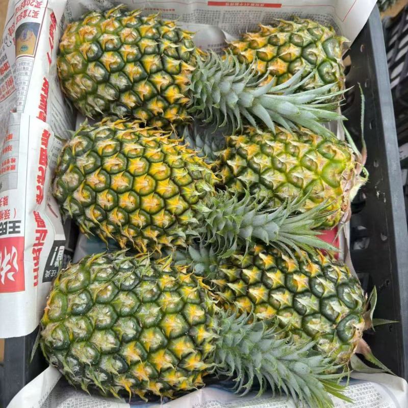 菠萝