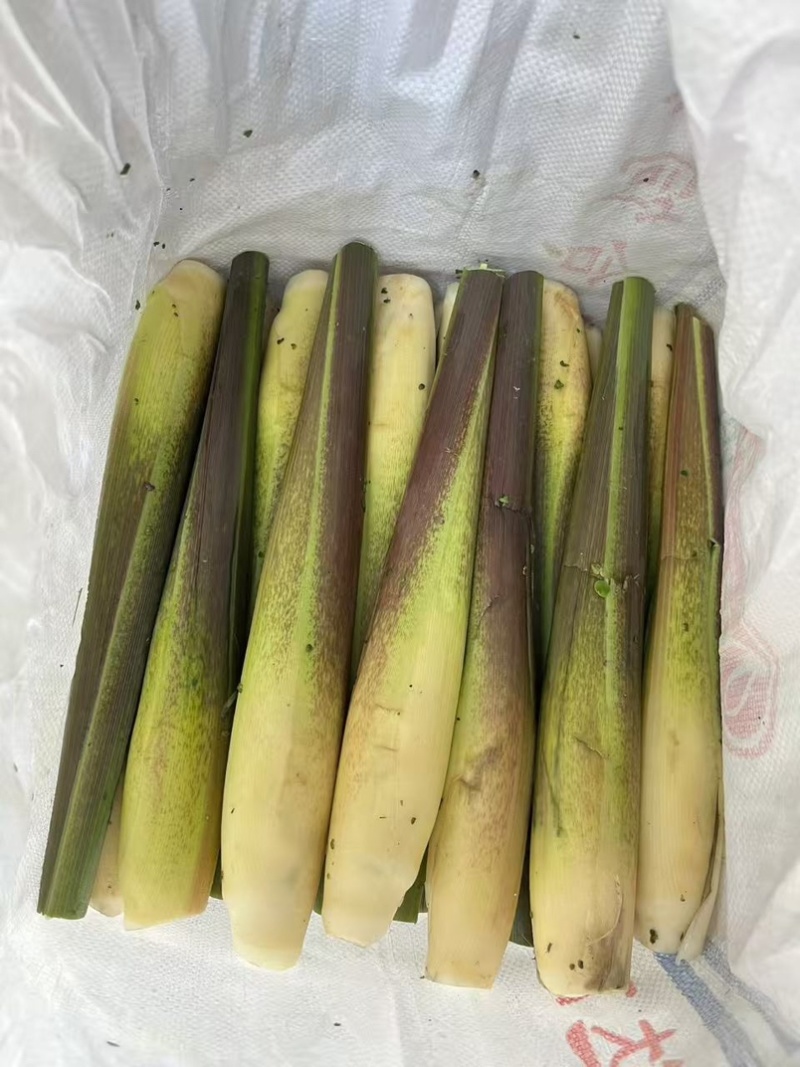 本地茭白大量上市，需要联系